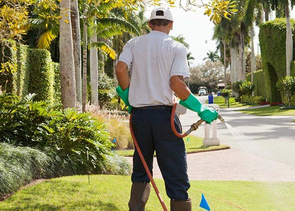 About Williston OH Pest Control